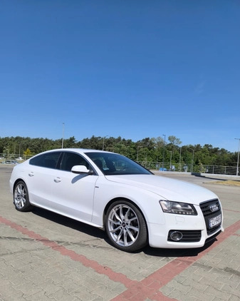 Audi A5 cena 45500 przebieg: 350000, rok produkcji 2010 z Nisko małe 154